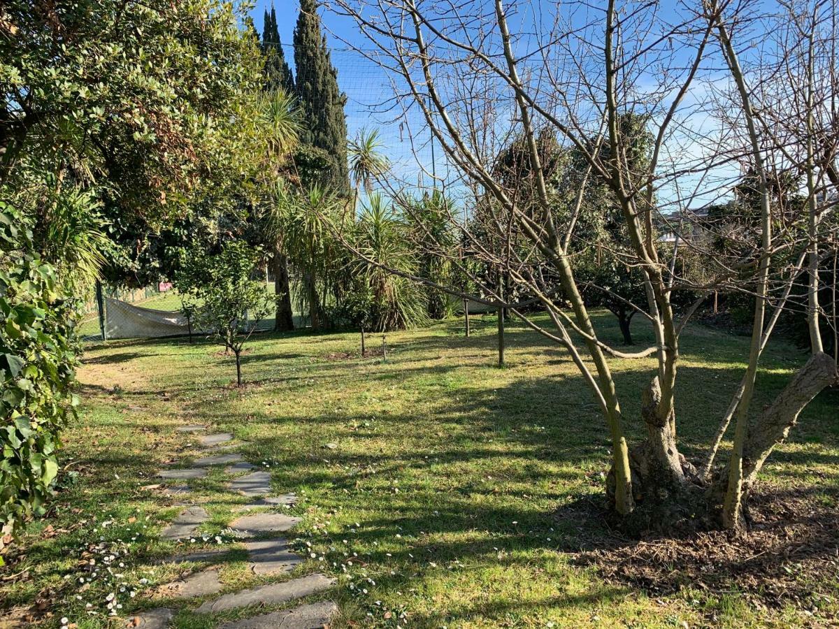 Villa Albina Róma Kültér fotó